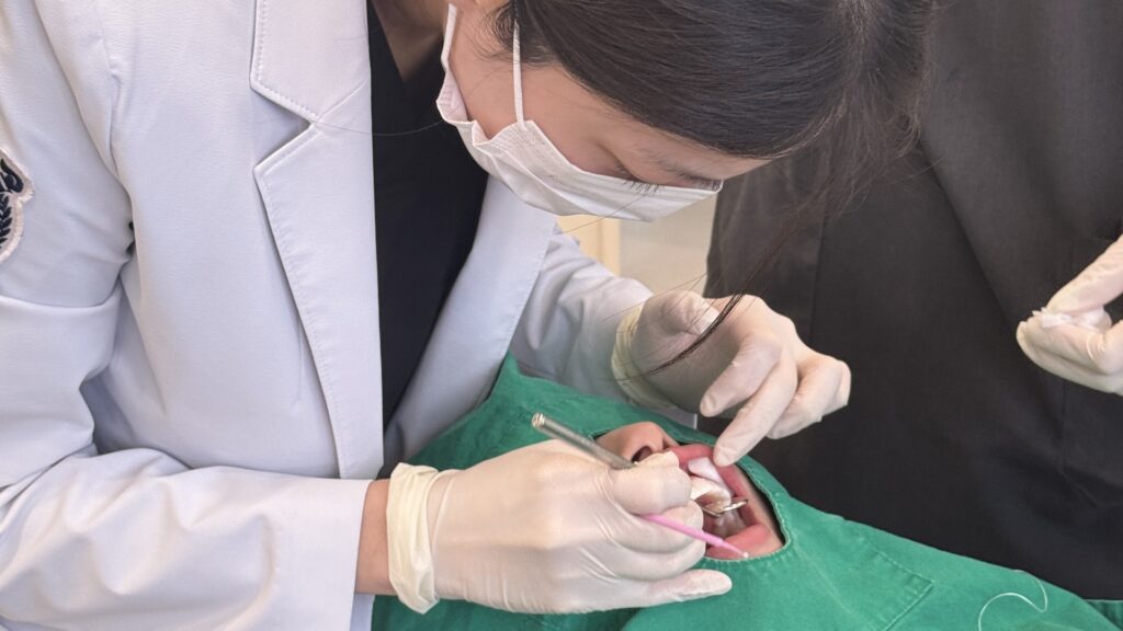 라미네이트 교정 차이, 경쟁 관계라기보다는 다루는 영역이 아예 다른 치료