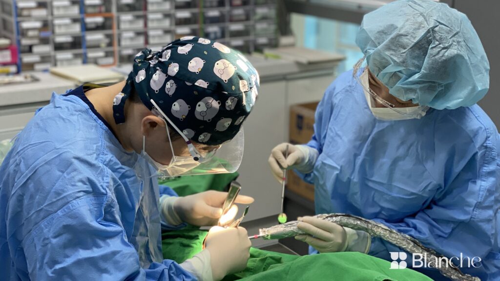 Implant surgery at Blanche Dental Clinic